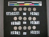 藏品(美國二角五分硬幣)的圖片